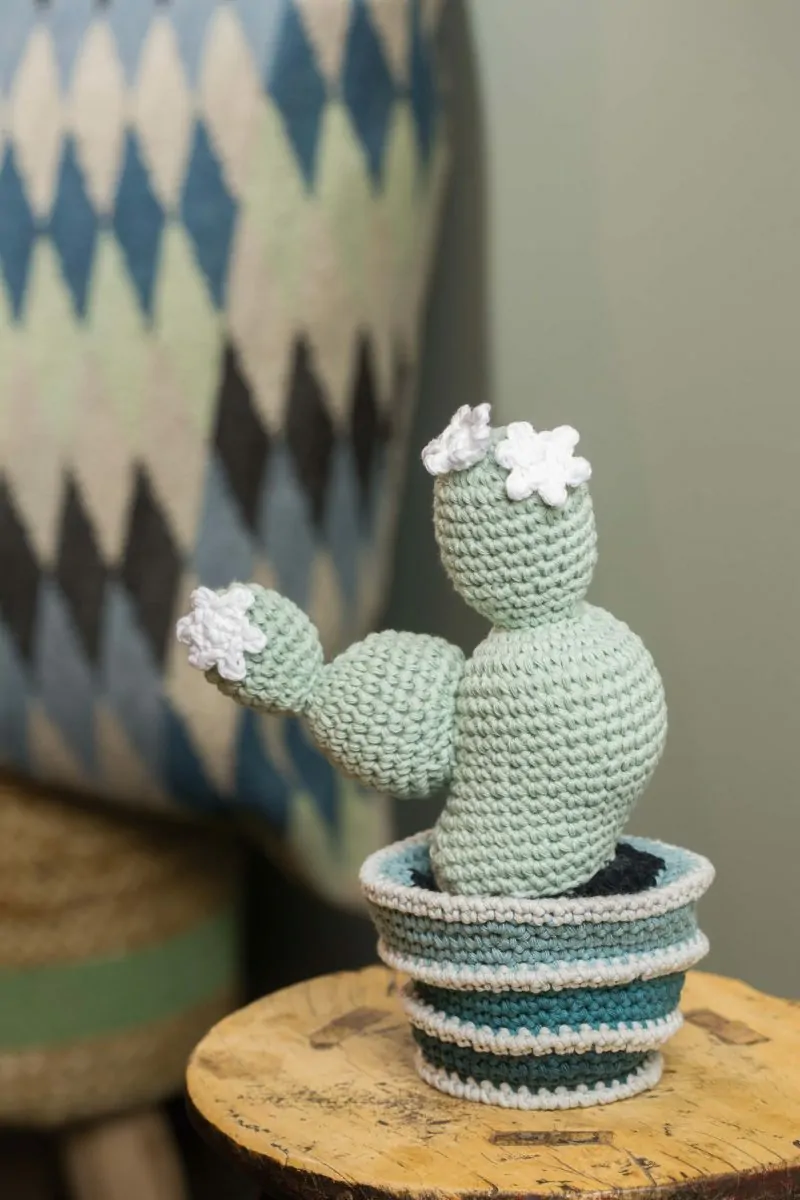 De gehaakte cactus staat op een houten bijzettafeltje. Op de achtergrond van de foto staat een krukje met een kussen erbovenop. De cactus is lichtgroen van kleur met witte bloemetjes op de uitstulpingen. De gehaakte bloempot heeft drie verschillende kleuren zeegroen.